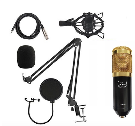 Lea L-4800 Condenser Mikrofon Seti