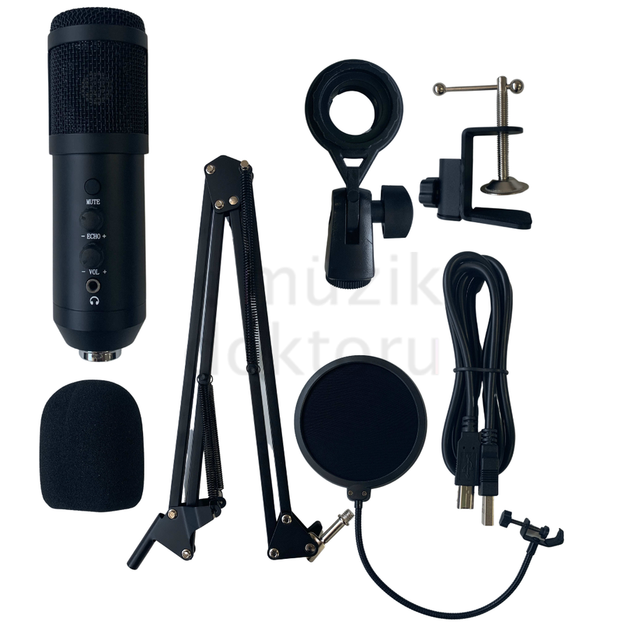 Lea L-3800 Condenser Mikrofon Seti