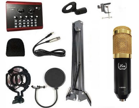 Lea L-2800A Condenser Mikrofon Seti ve L8 Ses Kartı
