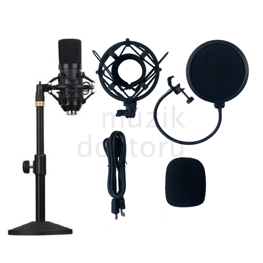 Lea L-2700 Condenser Mikrofon Seti (192K)