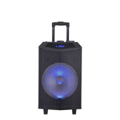 Oyility DK-12 Disco Işıklı Taşınabilir Hoparlör Sistemi