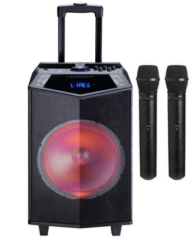 Oyility DK-12 Disco Işıklı Taşınabilir Hoparlör Sistemi