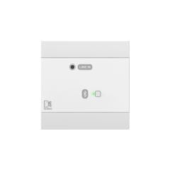 Audac NWP 300 W Ağ giriş paneli - BT + 3,5 mm jak (4 CH) Beyaz