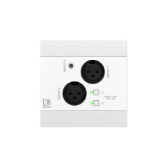 Audac NWP 320 W Ağ giriş paneli - 2 x XLR + 3,5 mm jak + BT (4 CH) Beyaz