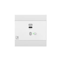 Audac NWP 400 W Ağ Giriş Paneli - USB Type-C + BT (4 CH) Beyaz