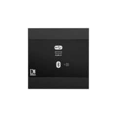 Audac NWP 400  B Ağ Giriş Paneli - USB Type-C + BT (4 CH)  Siyah