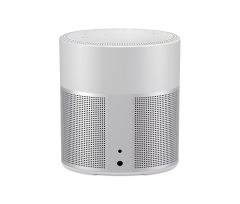 Bose Home Speaker 300 (Silver)