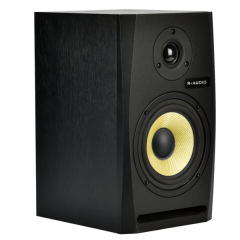 R+ AUDIO M8 Stüdyo Referans Hoparlör (Tek)