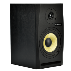 R+ AUDIO M5 Stüdyo Referans Hoparlör (Tek)