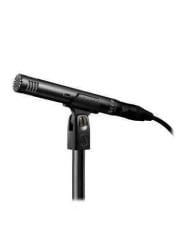 Audio Technica AT2031 Condenser Mikrofon