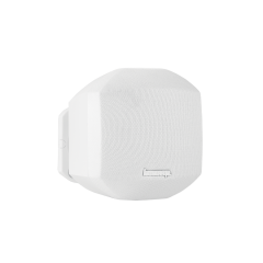 Apart MASK2-W 2.5'' Minyatür Duvar Hoparlörü