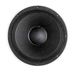 B&C Speakers 12 PE32 12'' 500W max 50-4000 Hz Mid Bass Çıplak Hoparlör